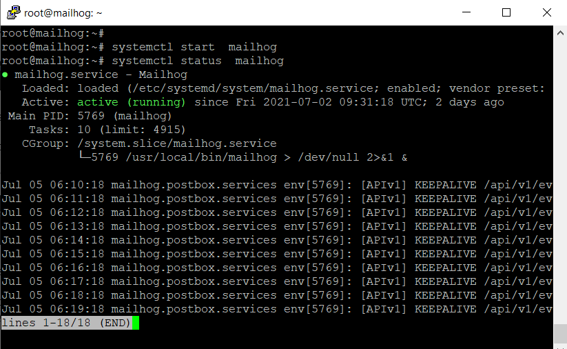 Start mailhog and check its status
